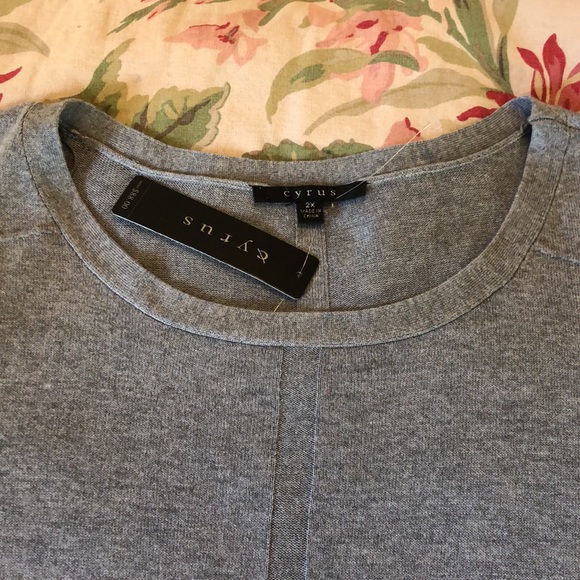CYRUS Size 2X Scoopneck Ribbed Trim Tunic length Soft Gray Classic $88 NEW - Picture 16 of 16